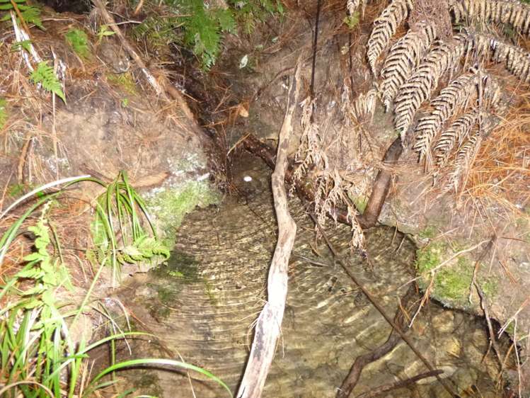 37 Makene Road Mangamuka_7