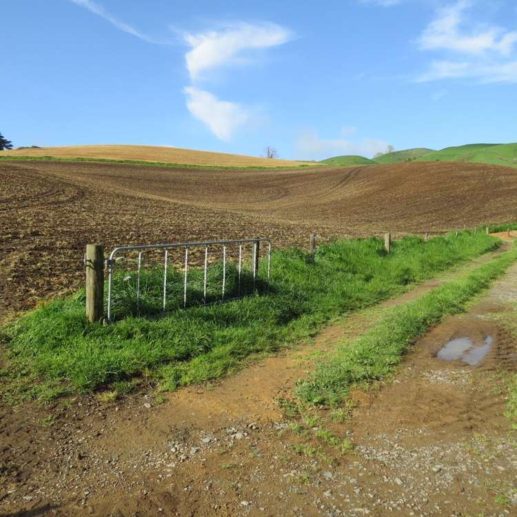 48 Barber Road Otewa_20