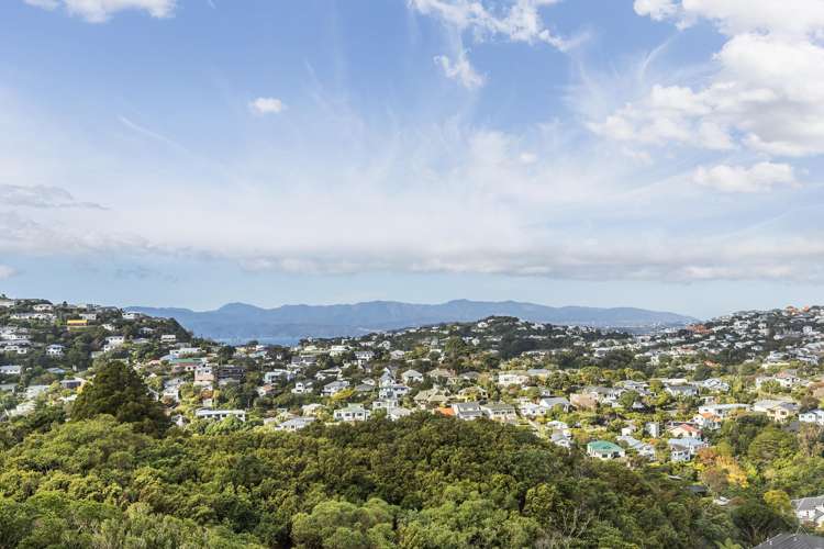 61 Heke Street Ngaio_6