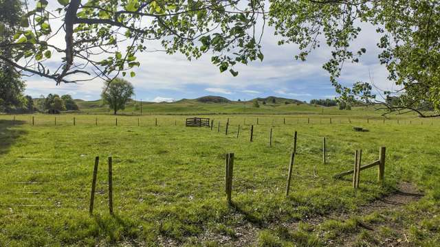 1522 Argyll Road Central Hawkes Bay Country_3