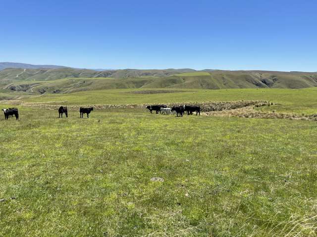 LEASE 540 Four Mile Road and 482 Longdale Road Hyde_3