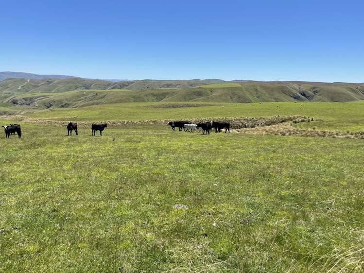 LEASE 540 Four Mile Road and 482 Longdale Road Hyde_3