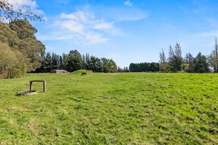 196 Belfast Road Belfast_31