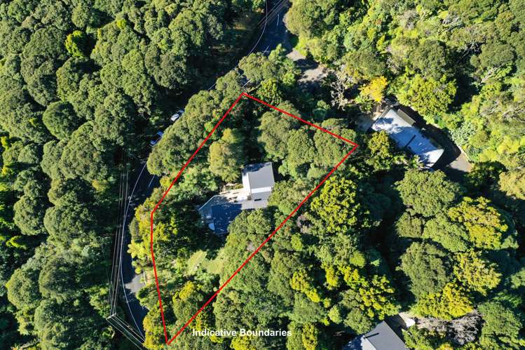 80 Mountain Road Henderson Valley_25