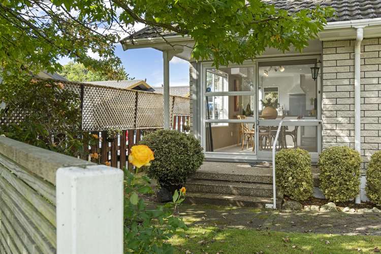 12 Tynan Street Te Puke_1