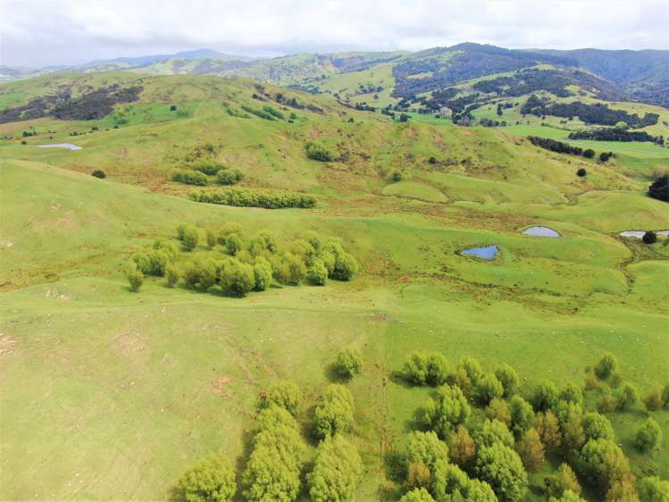 1137 Wimbledon Road Porangahau_7