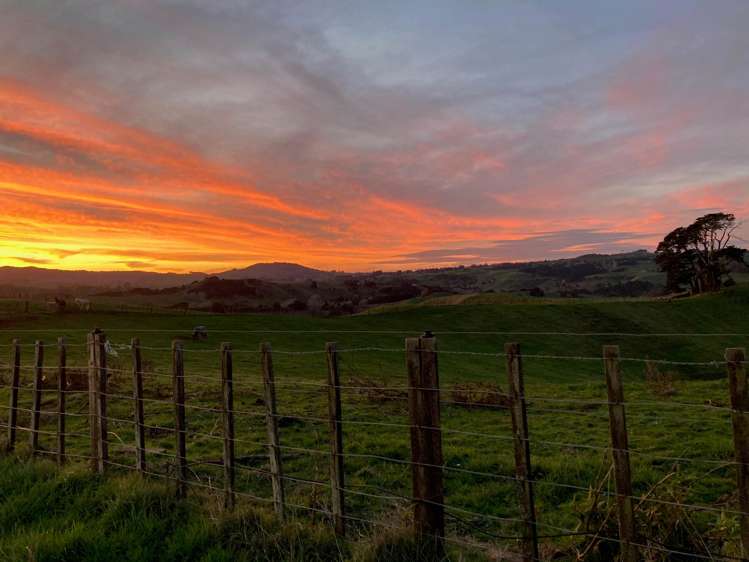 823 Wairamarama Onewhero Road Onewhero_22