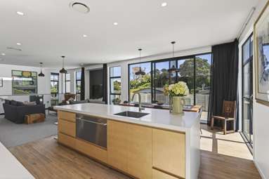 9 Mt Edgecumbe Street_4