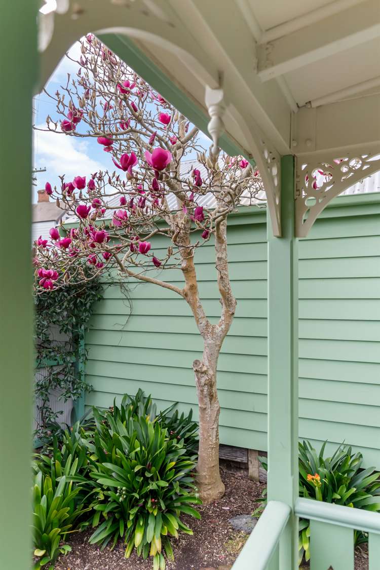 76 Clarence Street Ponsonby_10