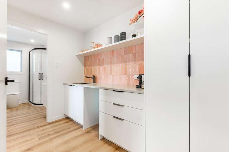 24 Ferry Street Seatoun_17