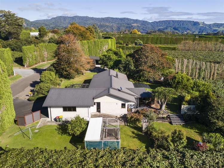 61 Whitehead Avenue Te Puke_29