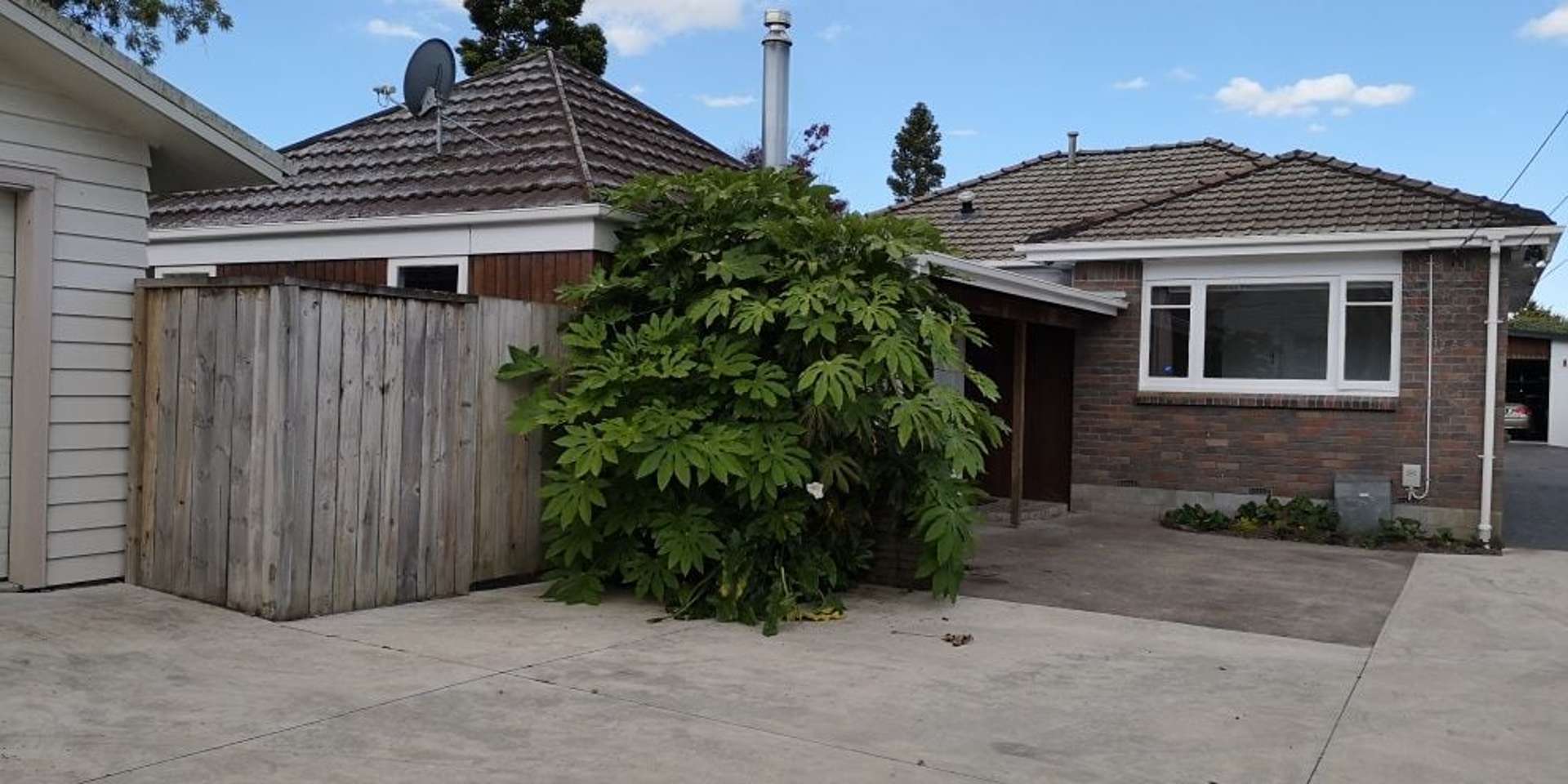 22 Nixon Street Hamilton East_0