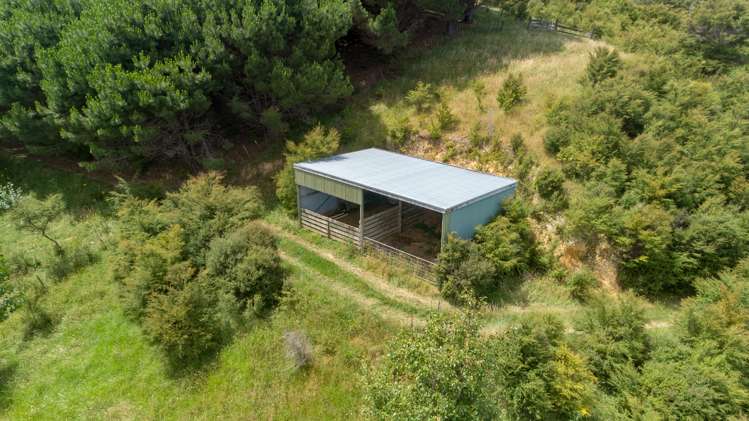 13 Pohue Creek Road Thames_23