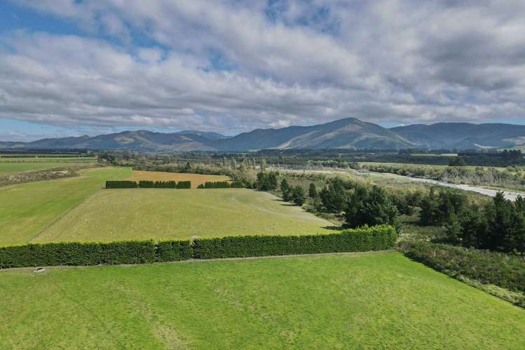 590 Ashley Road Summerhill_17