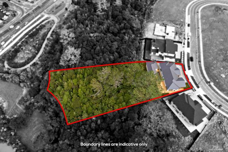 120 Kewa Road Albany Heights_21