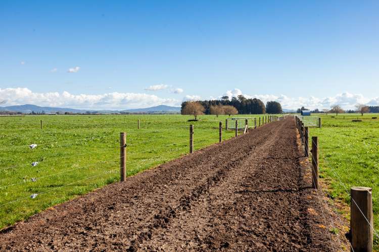 Alexandra Road Waharoa_13