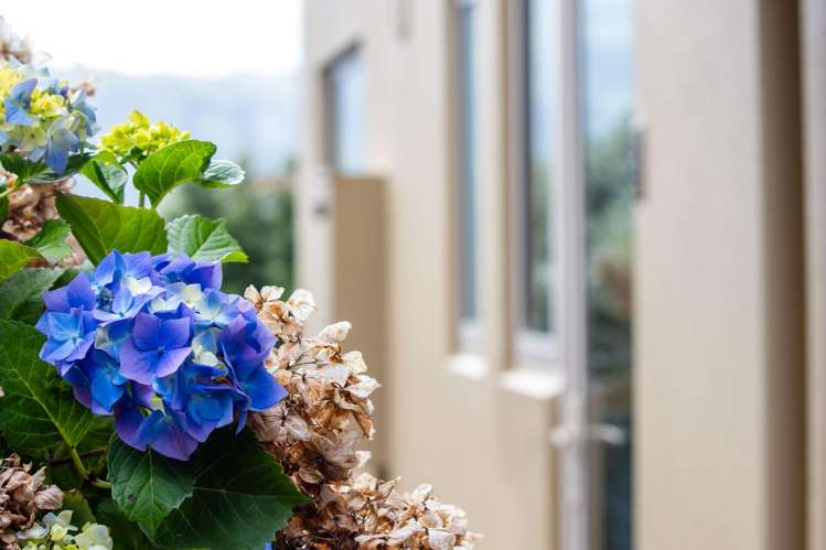 2 Kanuka Place Robinsons Bay_9