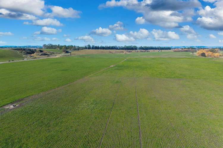 Ngaruru Road Ongaonga_12