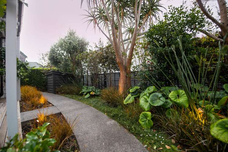 97 John Street Ponsonby_11