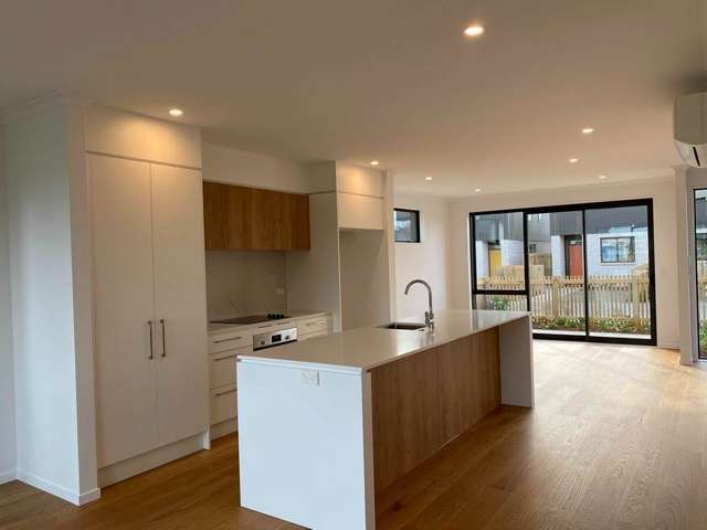 6 Manahi Lane Panmure_2