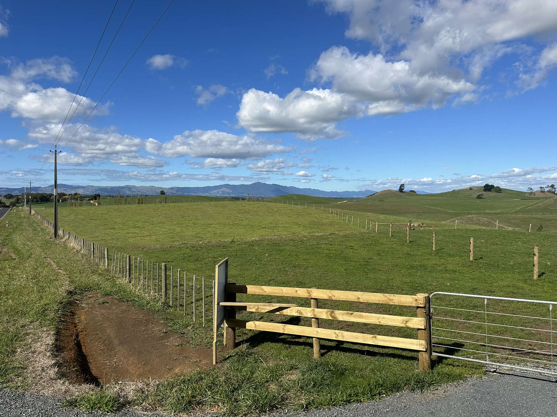 - Quine Road Morrinsville_0