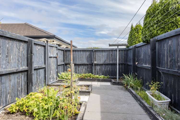 55 Te Kohanga Drive Pegasus_15