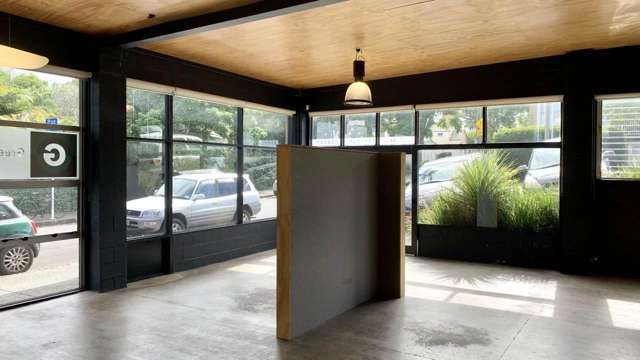 12 Fitzroy Street Ponsonby_2