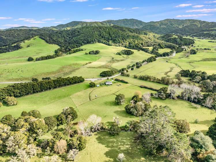 444 Brown Road Kaiwaka_9