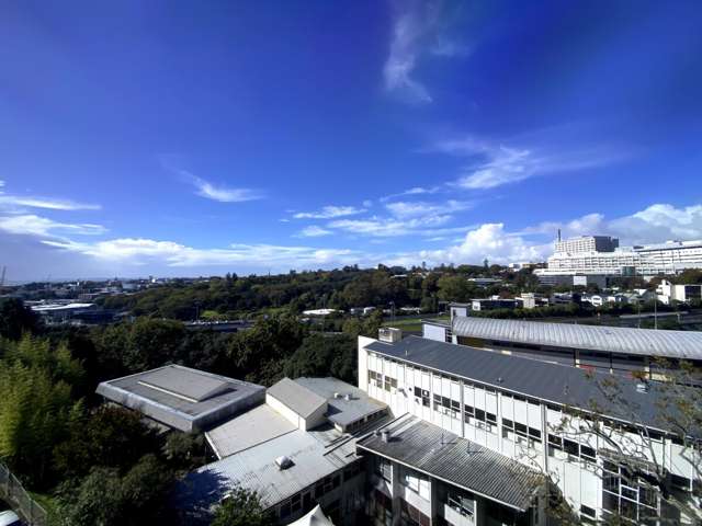 52 Symonds Street City Centre_2