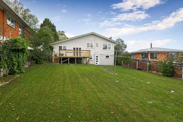 55 Rehia Road Massey_1