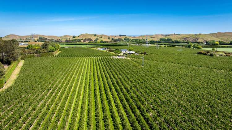 490 Puketitiri Road, Puketapu Napier South_8