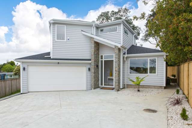 12a Springside Place New Lynn_1