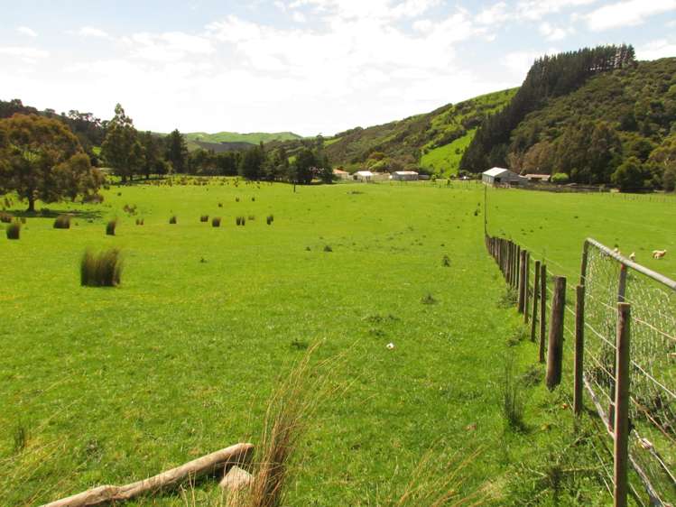 139 Clay Creek Road Ruakokoputuna_9