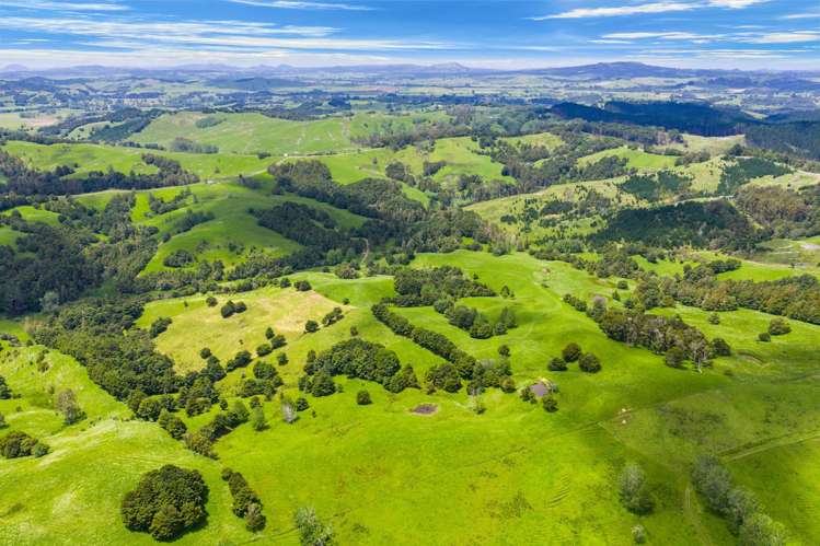 Norvil Road Titoki_11