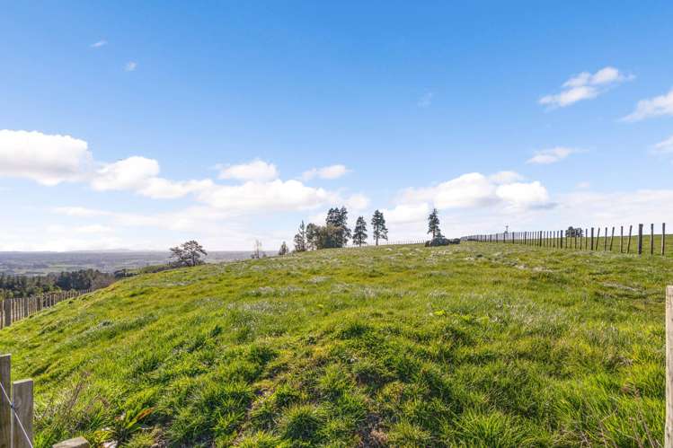 2/471 Sainsbury Road Pirongia_15
