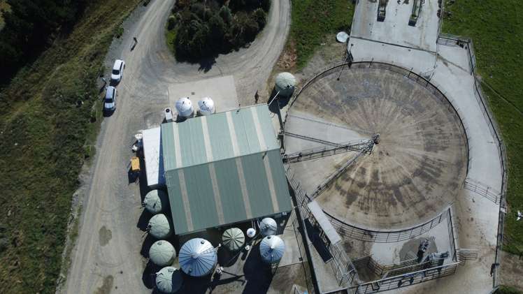 108 Klondyke Terrace Mayfield_36