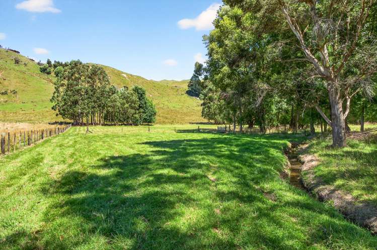 869 Norfolk Road Carterton_30