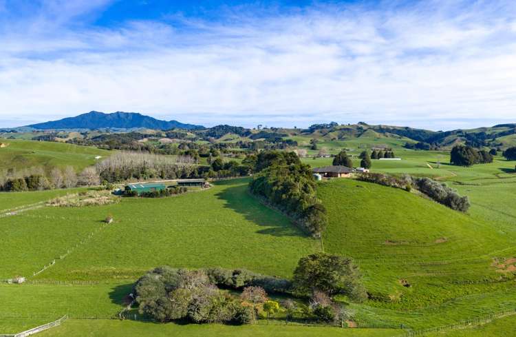 143 Pond Road Raglan_14