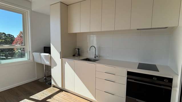 209/2A Oakley Avenue Waterview_2