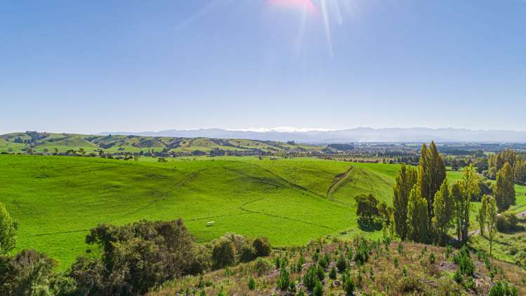 Admiral Road Gladstone_6