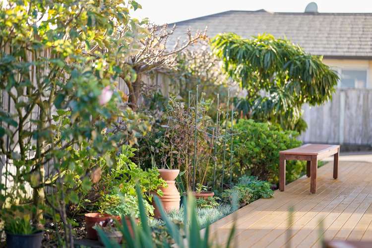 17 Dal Din Drive Otaki_16