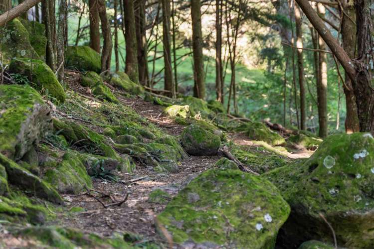 75 Snooks Road Maungatapere_3