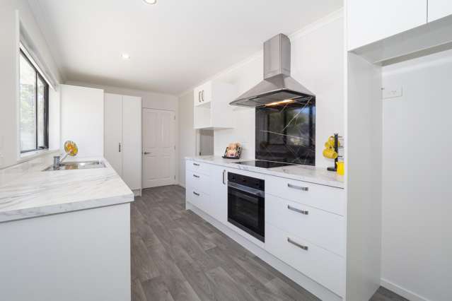 6a Allison Street Allenton_2
