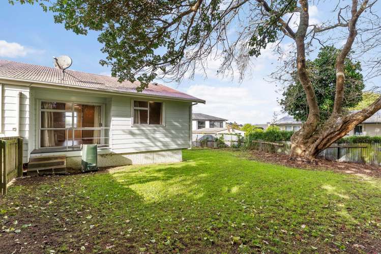 299a Mount Albert Road Sandringham_6