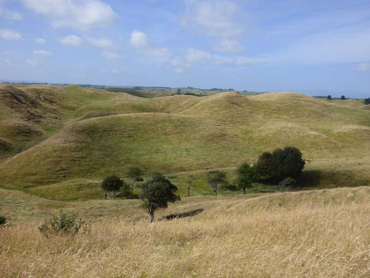 729 Midland Road Bunnythorpe_11