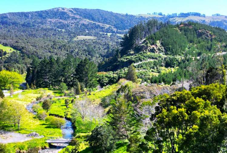 Wekaweka Road Waimamaku_29