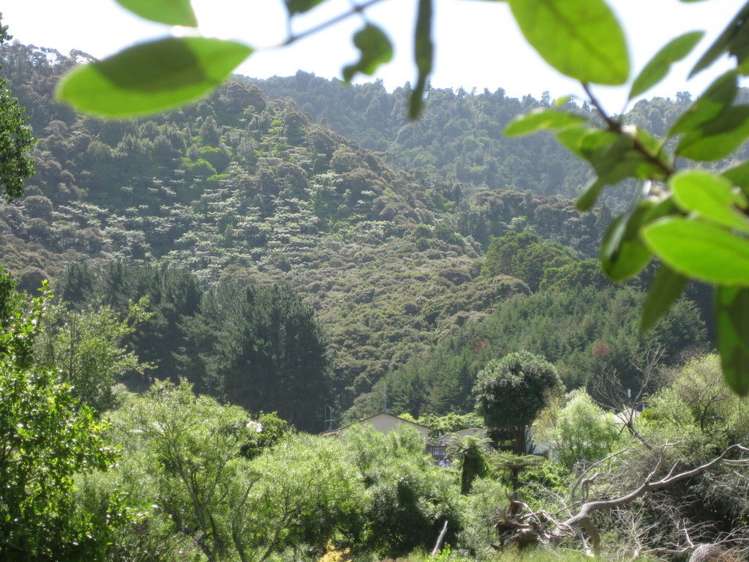 35 Waipa Esplanade Ngaruawahia_18