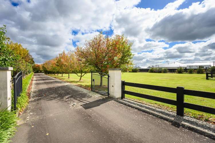 105 Pharazyn Street Feilding_6