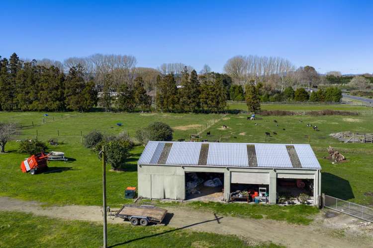 386 Marshmeadow Road Newstead_6