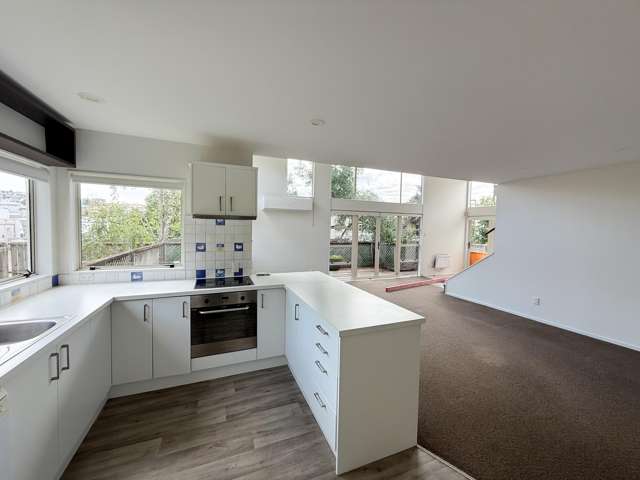 4/16 Balfour Road Parnell_3